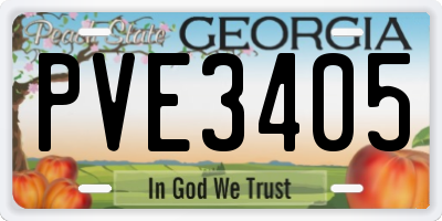 GA license plate PVE3405