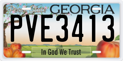 GA license plate PVE3413