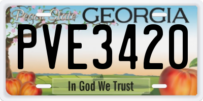 GA license plate PVE3420