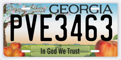 GA license plate PVE3463
