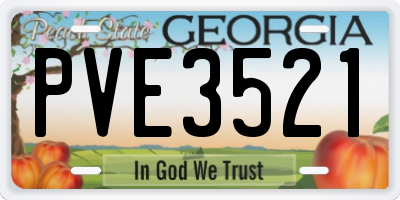 GA license plate PVE3521