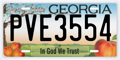 GA license plate PVE3554
