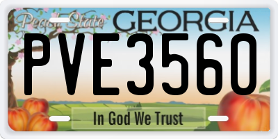 GA license plate PVE3560