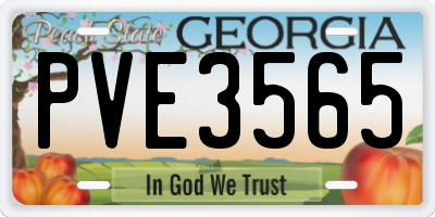 GA license plate PVE3565