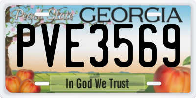 GA license plate PVE3569