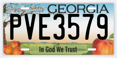 GA license plate PVE3579