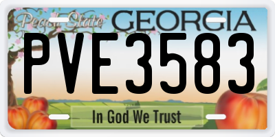 GA license plate PVE3583