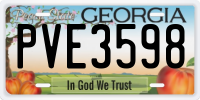 GA license plate PVE3598