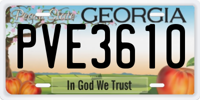 GA license plate PVE3610
