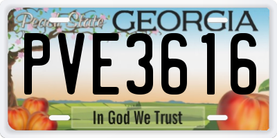 GA license plate PVE3616