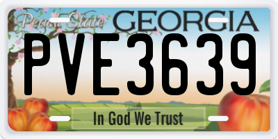 GA license plate PVE3639