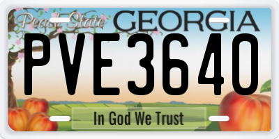 GA license plate PVE3640