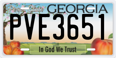 GA license plate PVE3651