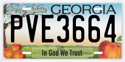 GA license plate PVE3664