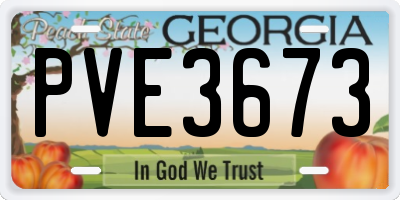 GA license plate PVE3673