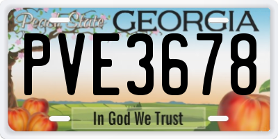 GA license plate PVE3678