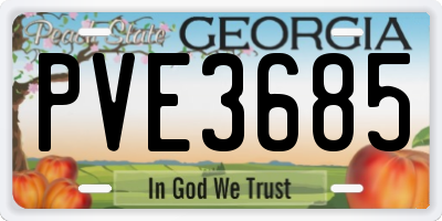 GA license plate PVE3685