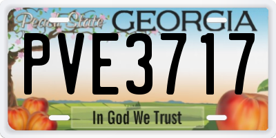 GA license plate PVE3717