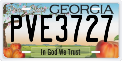 GA license plate PVE3727