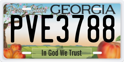 GA license plate PVE3788