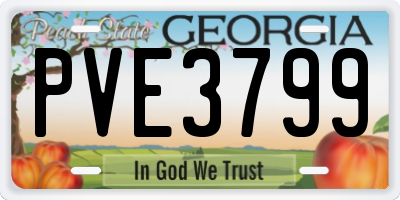 GA license plate PVE3799