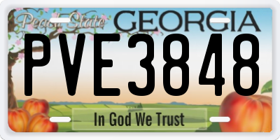 GA license plate PVE3848