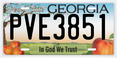 GA license plate PVE3851