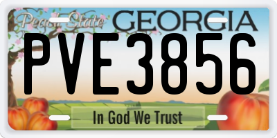 GA license plate PVE3856