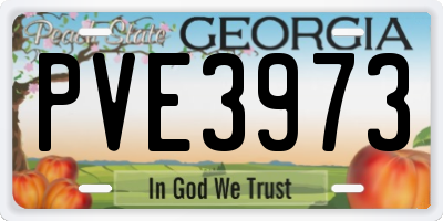 GA license plate PVE3973