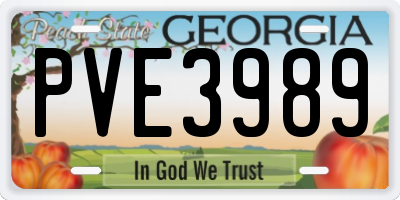 GA license plate PVE3989