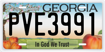 GA license plate PVE3991