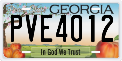 GA license plate PVE4012