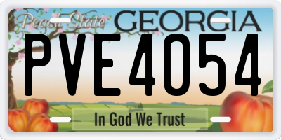GA license plate PVE4054