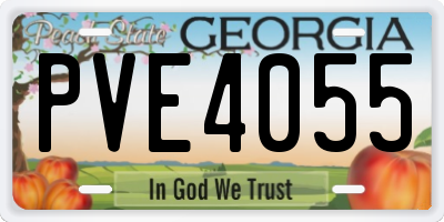 GA license plate PVE4055
