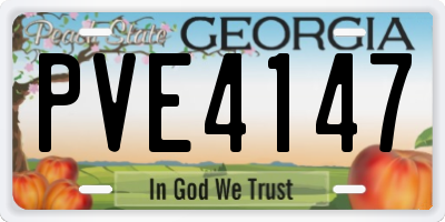 GA license plate PVE4147