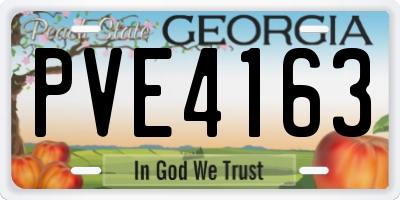 GA license plate PVE4163