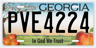 GA license plate PVE4224