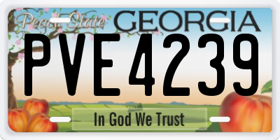 GA license plate PVE4239