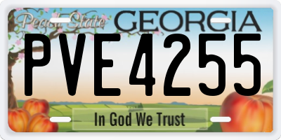GA license plate PVE4255