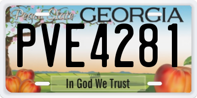 GA license plate PVE4281