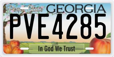 GA license plate PVE4285