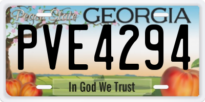 GA license plate PVE4294