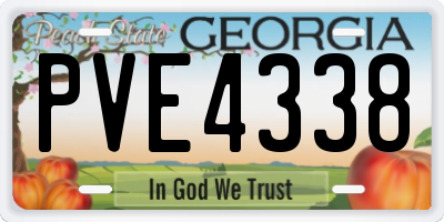 GA license plate PVE4338