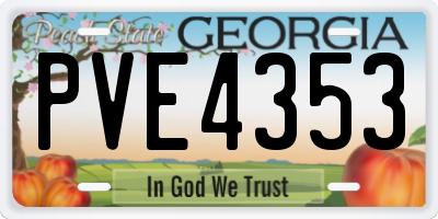 GA license plate PVE4353