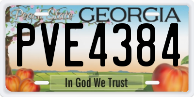GA license plate PVE4384