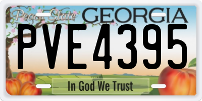 GA license plate PVE4395