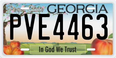GA license plate PVE4463