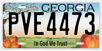 GA license plate PVE4473