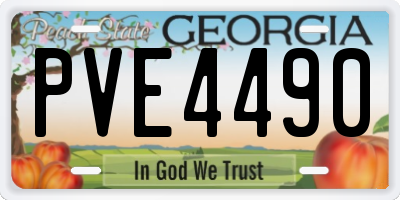 GA license plate PVE4490