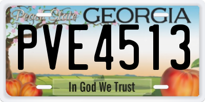 GA license plate PVE4513